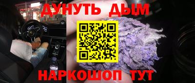 стаф Кингисепп